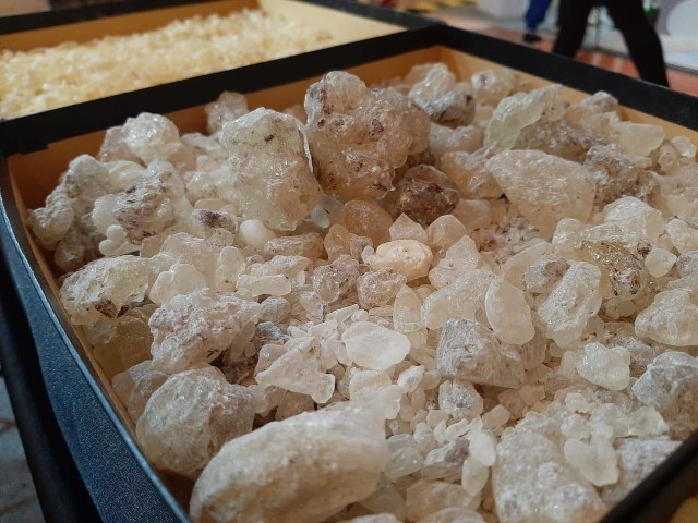 fa4d9m0tyvagehe7nbtb